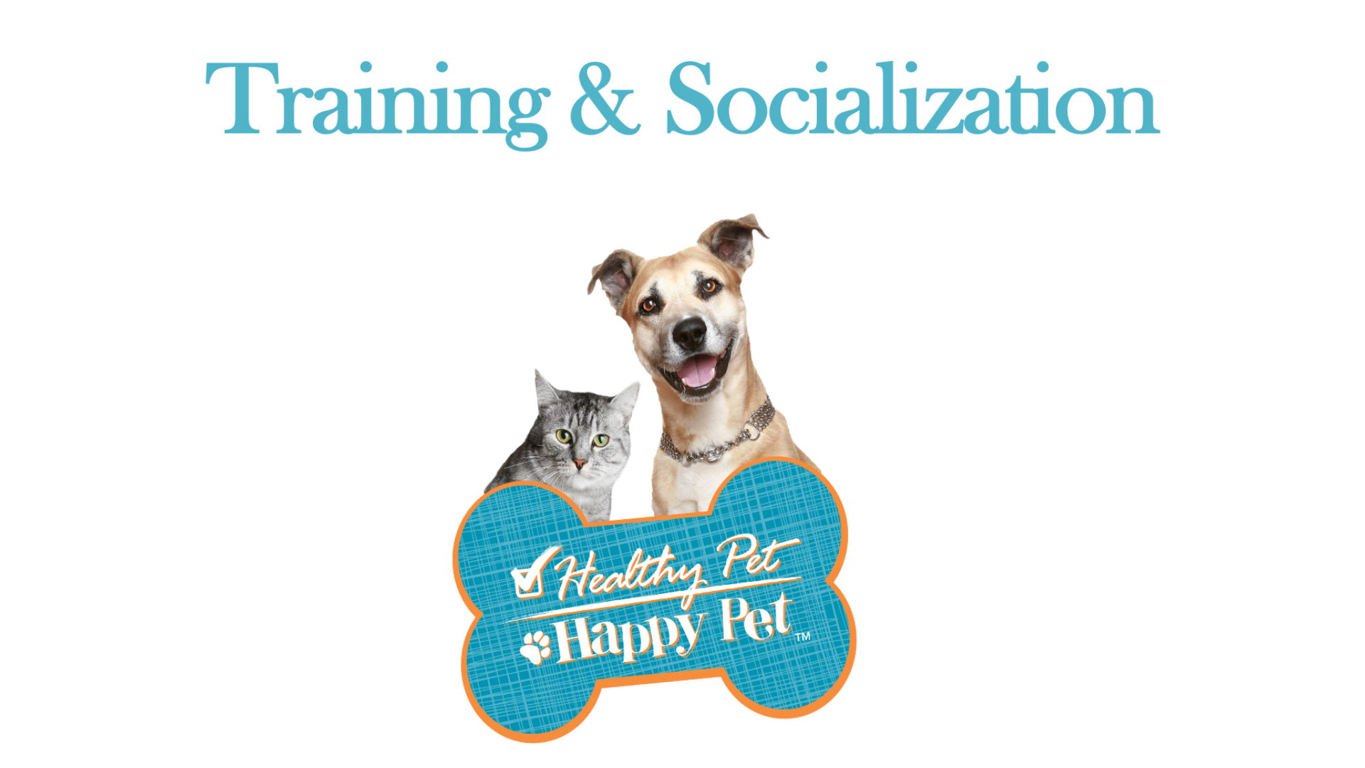 Training and Socialization