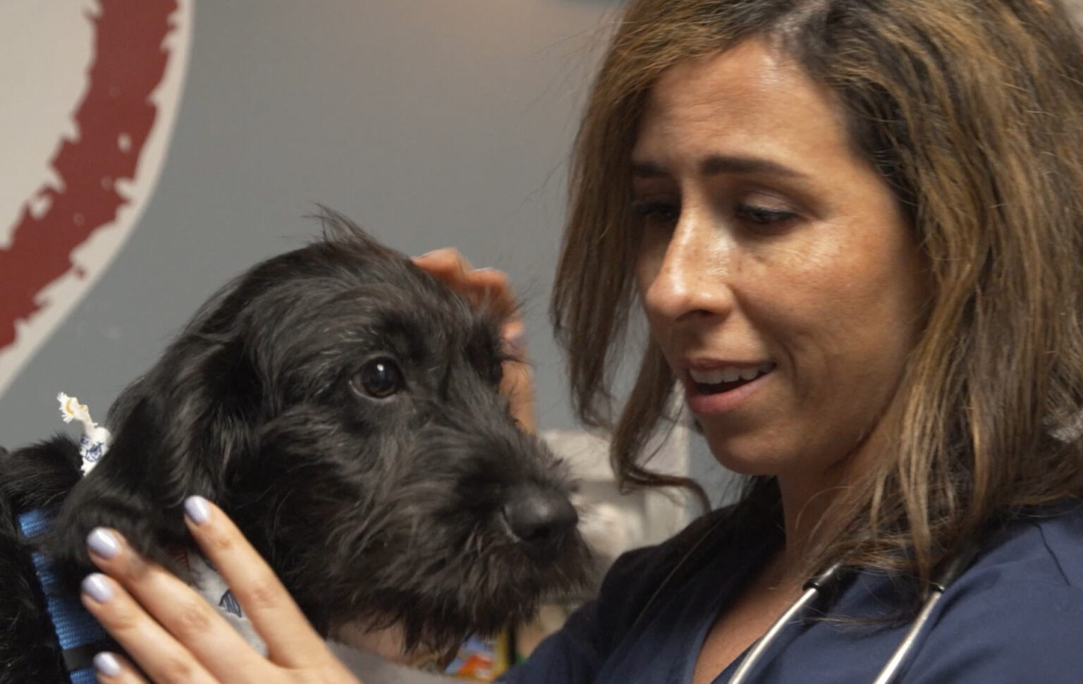 Careers Veterinary Medical Center of Fort Mill in Katy, TX